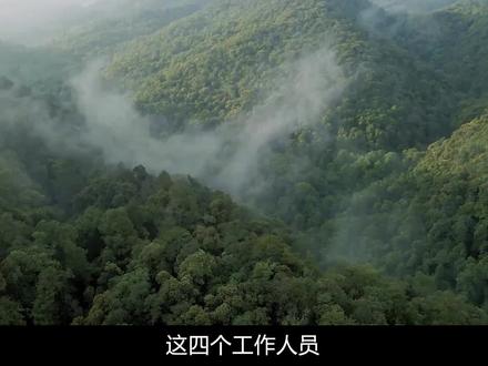 绿野救援海猫分析云南哀牢山4人遇难,可能是对失温的意识不够,严重失温不是冷,而且身体发热。#哀牢山 #哀牢山搜救 #地质队员 #云南哀牢山救援4名失联人员 @DOU+小助手 @抖音小助手 #涨知识