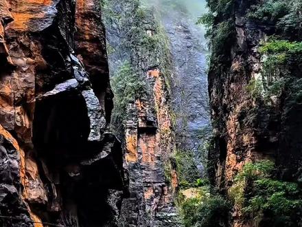60分钟15首完整版纯音乐#治愈#缓解疲劳#安神疏肝解郁#养心曲
