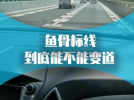 新手司机开车遇到这种标线能否变道?千万别搞错了! #汽车 #用车有妙招 #新手开车注意事项 #汽车人共创计划