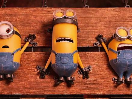 你知道小黄人认了多少个老大吗?