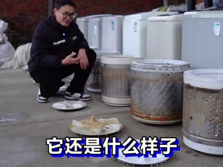 洗衣机清洁剂是不是智商税?分别准备十台洗衣机和十种清洁剂测试 #洗衣机清洁 #洗衣机清洗剂 #真实测评