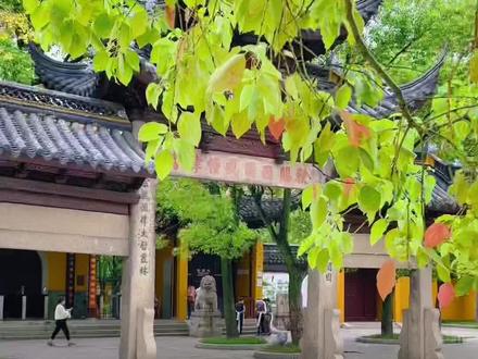 国内求姻缘很灵的寺庙,既然主动要求降门票,这就是苏州西园寺#遇见金秋 #愿所求皆所愿 #祈福 #西园寺