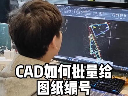 教你用CAD天正建筑批量编桩号#ZBBZ批量编桩号 #桩编号