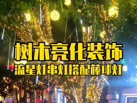 农家乐烧烤店门口街道旁树木亮化都可以这样做夜景装饰灯光#挂树上的灯 #缠树灯 #树木亮化 #串灯#流星灯