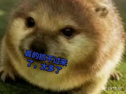 太多了,连山路上面种菜也被他吃了😂😂😂😂😂😂😂😂😂😂😂😂😂😂😂
#我的刀盾 #蛤蟆狗 #八嘎牙路
@小陆陆(拒绝私聊) @☞☜ @牙签 @唇膏印 @豆包