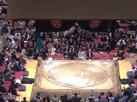 本期视频解答为什么日马富士退役,以及之前问题横纲比天皇地位高