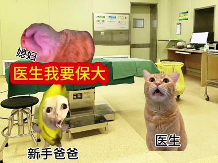 新手爸爸的奇葩陪产#猫meme#陪产#奇葩