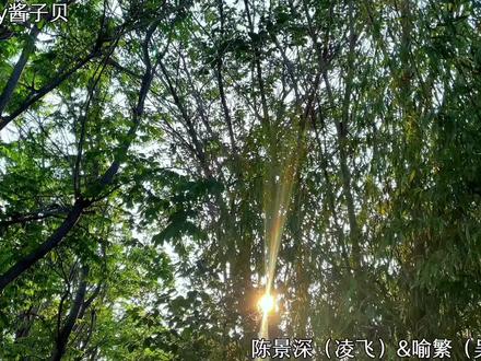 救命🆘啊啊啊啊啊啊谁懂啊喻繁这选角太贴了吧#放学等我by酱子贝 #广播剧 #喻繁 #陈景深 #配音
