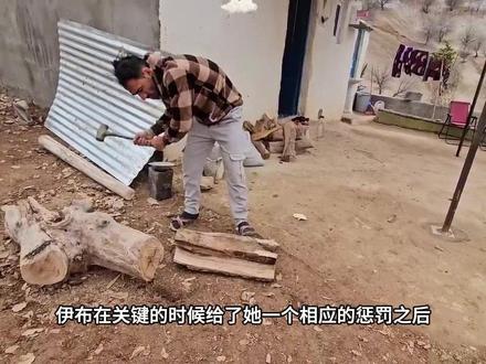 太解气了,伊布直接出手教训桂花,不会答应桂花,给她惩罚#伊朗游牧民生活