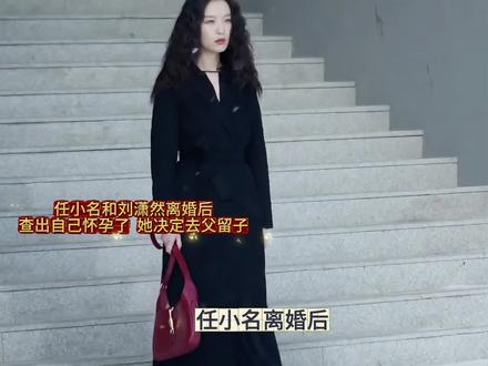 任小名和刘潇然离婚后,查出自己怀孕了,她决定去父留子.