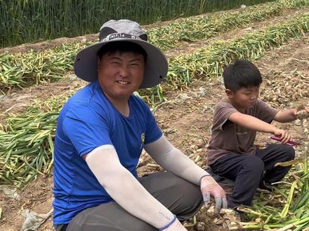 小松种的几亩大蒜丰收了,孩子们都去地里帮忙,一家人忙前忙后,希望能卖个好价钱#我的乡村生活