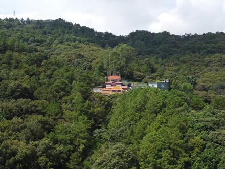 近日,无人机从东莞飞到了广东从化,在从化海拔270米大山处发现了一座号称何仙姑庙,据说祈福非常灵,有求必应,你有来过吗?#寺庙祈福 #从化 #何仙姑
