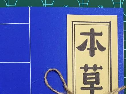 绘画 本草纲目#画画🎨 #一起学画画 #跟我一起学画画 #手绘 #想画就画