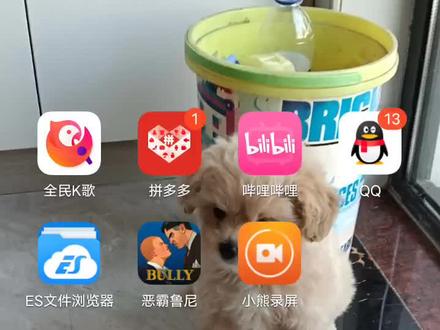 叫大家如何下载恶霸鲁尼mod