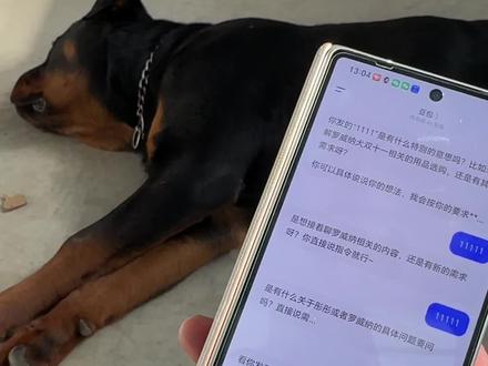 谁说能代替人类的,狗都训不明白#ai训狗 #罗威纳 #狗