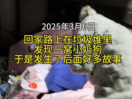 这个故事很长!请耐心观看! #小院改造 #八小只 #我和我的狗