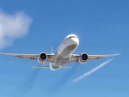 当你啥事都问豆包#萌宠出道计划#猫咪#搞笑#解压#豆包