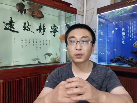 有些小型热带鱼在水面飘着不是病,有些情况要注意,可能会死鱼 #观赏鱼 #养鱼 #热带观赏鱼 #养鱼日记 #鱼缸里的大自然 #养鱼养心 #养鱼人 #鱼 #空气缸