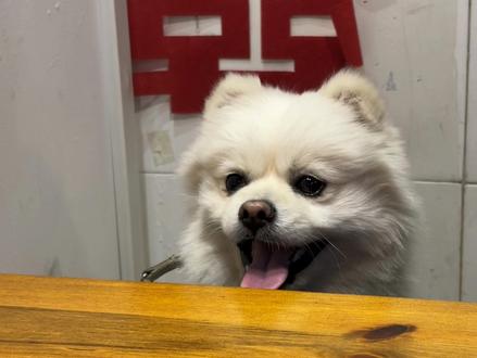 不学习的我和拿不出手的考研成绩~#考研 #成绩出来了 #考研成绩 #查成绩