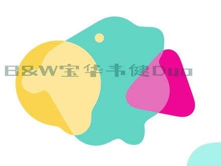 B&W宝华韦健Duo无线WiFi立体声音箱 30000元蓝牙音箱 拆解 #hifi #hifi发烧音响