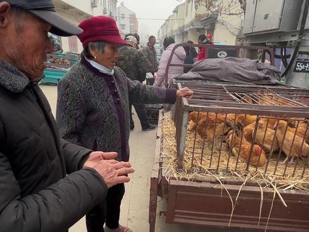 和小老头 赶集买鸡…#农村生活 #赶集