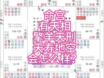 天相在命宫会怎么样#紫微斗数 #天相#修行#福报