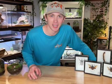 我从暗网上购买的神秘昆虫#亲子 #小学生 #亲子互动 #动物