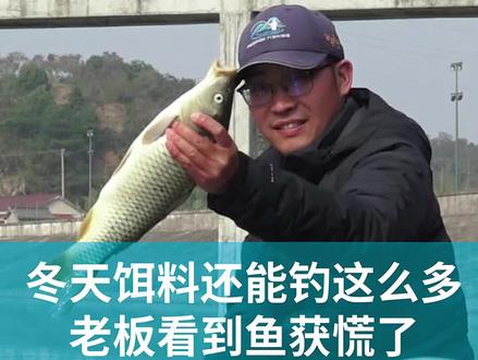 探钓七里冲水库,冬天饵料也能狂拉大鲫鱼大鲤鱼#入冬钓鱼指南#入冬钓鱼挑战大板鲫 @宁国市七里冲综合垂钓基地~益村小宝