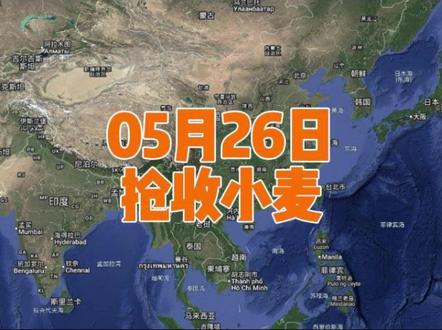 外网看我国饱和式抢收襄阳小麦#外国人看中国 #文化输出 #热点