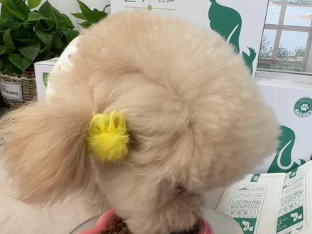 狼图腾这款鲜粮又来活动了,家有挑食或者有泪痕的狗狗,给它试试这款狗粮,29天不满意凭空袋可以直接退,宝子们抓紧时间冲#萌宠好物 #狗粮 #狗粮推荐 #新手养狗#狼图腾