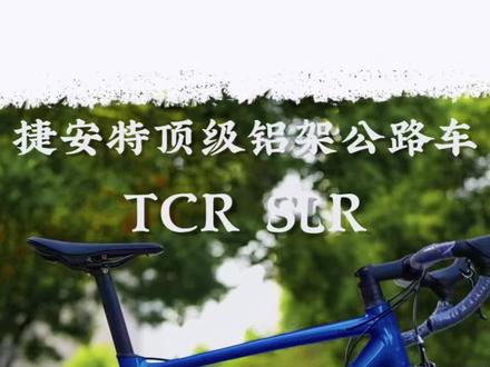 捷安特铝合金扛把子来啦,经典的TCR SLR
#自行车推荐 #捷安特 #自行车 #TCR #公路车