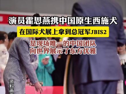 演员#霍思燕 携中国原生#西施犬 ,在国际犬展上拿到总冠军,是现场唯一的中国团队,向世界展示了东方优雅。#狗狗