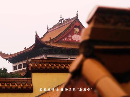 不求炫目的荣华 不淆世俗的浪潮
而遗世独立 只有梵音阵阵
#湘阴 #旅行推荐官 #慢下来看世界 #住进风景里 #人间烟火最抚人心 @DOU+小助手