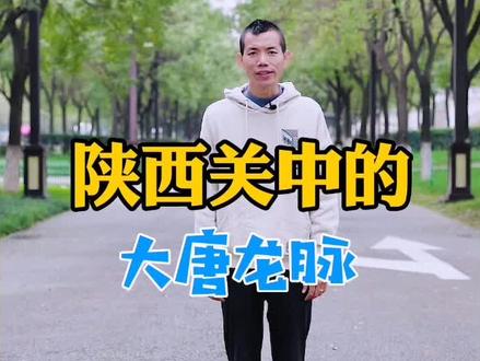 南方的秀才,北方的将,陕西的黄土埋皇上😎@抖音小助手 @DOU+小助手 #陕西看啥 #知识创作人 #热点