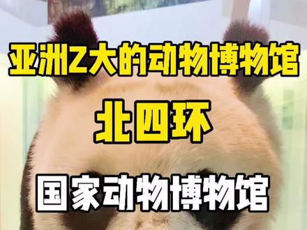 假期在北京哪有随时可以去,人少不排队,不用提前预约的博物馆?就来亚洲Z大的国家动物博物馆吧#博物馆 #亲子游