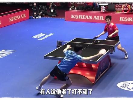 樊振东为什么不参加伦敦世乒赛 #体育 #乒乓球 #樊振东