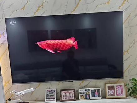 小米屏保设置教程来了##雷军 ,军哥一条龙鱼视频100万的播放量给你打广告呢,电视能不能给兄弟们便宜点