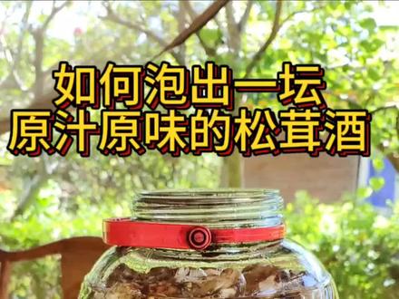 如何泡出一坛原汁原味的松茸酒?#泡酒的好材料 #真材实料才能做出好味道 #纯天然无添加 #大自然的馈赠 #养生酒