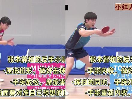 一口气看懂张本美和1-反手凶 #乒乓球 #张本美和