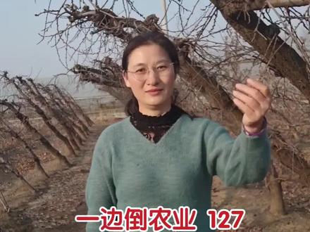 #上热门🔥 一边倒技术的整形和修剪#三农#抖音助农#技术推广#社会百态@DOU+小助手