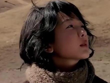 青海终于不再被人误解!感谢《生命树》让大家看到青海的付出,理解我们的不易,更珍惜来之不易的安宁#生命树 #青海 #守护 #旅游定制