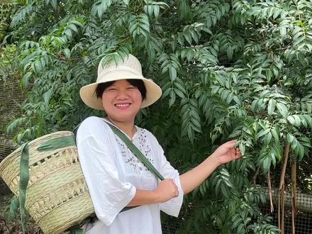 你们那里还有漆树吗?