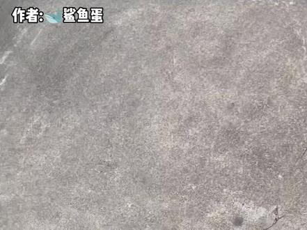 #羽毛球拍转场 羽毛球拍转场教程