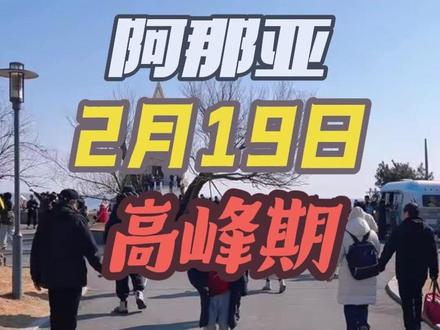 阿那亚2月19日大年初三高峰期!人从众#阿那亚#阿那亚民宿预订