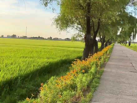 原来
最美的是家乡的小路
最蓝的是家乡的蓝天
最想念的是回不去的故乡和儿时的路…
#乡村田园生活 #创作者中心 #创作灵感 #记录家乡美景 #去看可以治愈一切的风景原来它真的很美