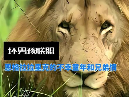 坏男孩联盟第一集:恩格拉拉里克的不幸童年和兄弟情! #宇宙物种 #坏男孩联盟 #狮子 #野生动物