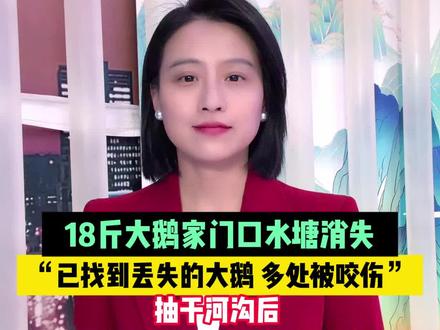 18斤大鹅家门口水塘消失“已找到丢失的大鹅 多处被咬伤”抽干河沟后, 未发现任何攻击性生物或残骸证据。到底是谁对大鹅下如此重手?#湖南#外来入侵物种
