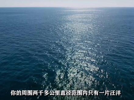 真实的太平洋是什么样?看似平静的洋面下,是令人胆寒的陌生世界
@DOU+小助手