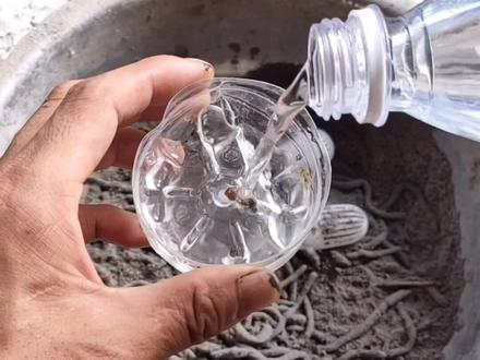 我这种抓黄鳝配方已经无敌,网网一斤多 自己研究的新配方 #抓黄鳝 #真实户外 #地笼 #黄鳝地笼
