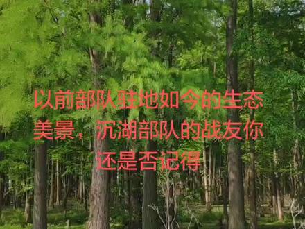 生态的沉湖,世外的桃园@沉湖老兵